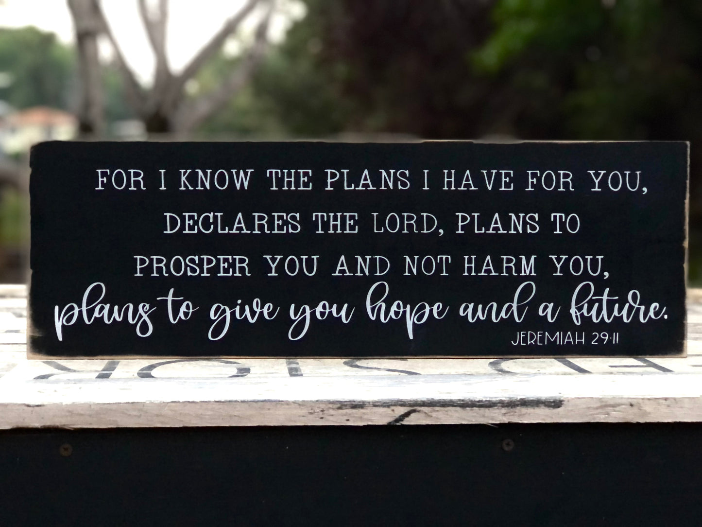 FOR I KNOW THE PLANS I HAVE FOR YOU DECLARES THE LORD